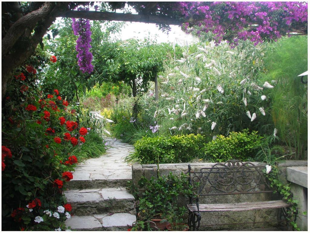 B&B La Salamandra Kitchengarden Forio  Exterior photo