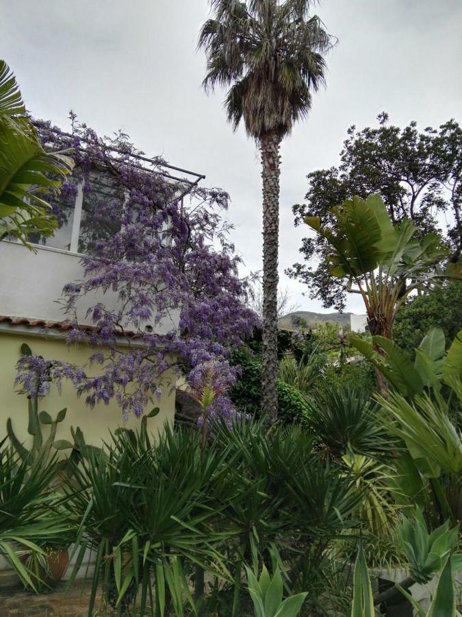 B&B La Salamandra Kitchengarden Forio  Exterior photo